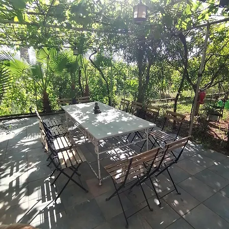 Peloponnese 12pax